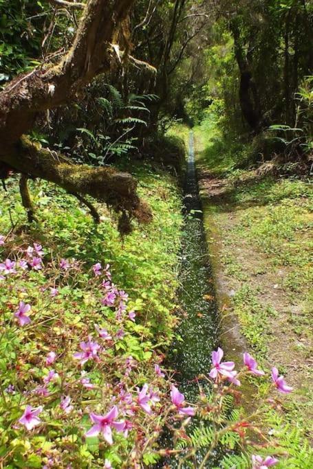 Santana Central Garden Wifi Park Quiet Area 12D Exterior foto